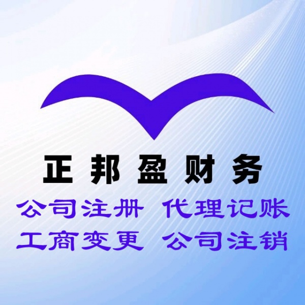 成都正邦盈财务咨询有限公司